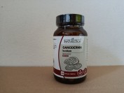 GAMODERMA LUCIDUM (REISHI)...